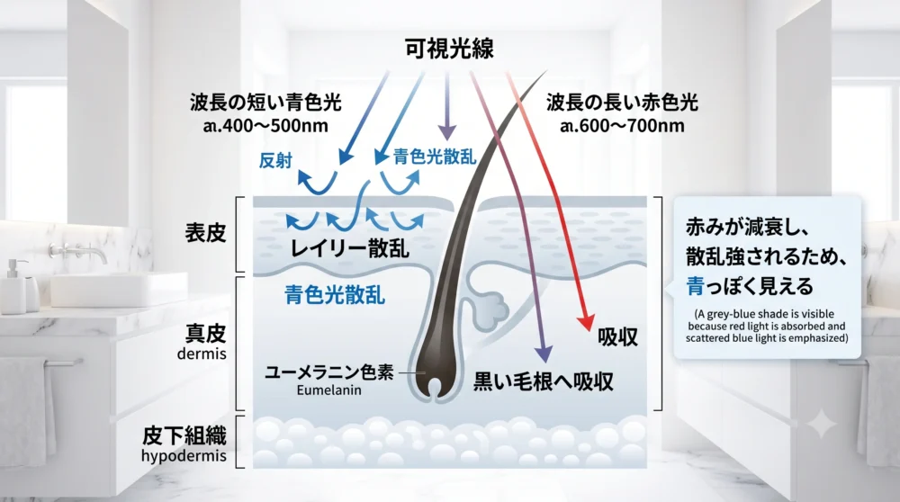 図解：皮膚内部での光の挙動と青髭の発生